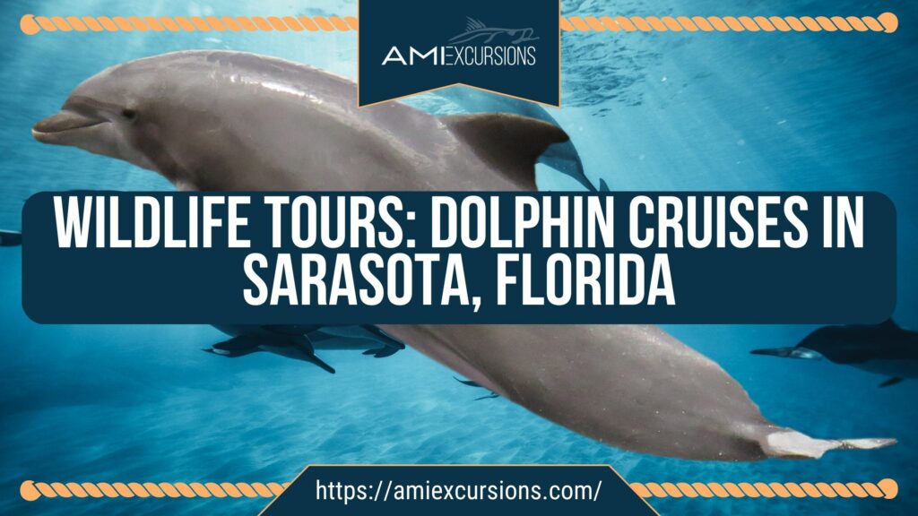 Wildlife Tours: Dolphin Cruises in Sarasota, Florida with Anna Maria Island or AMI Excursions