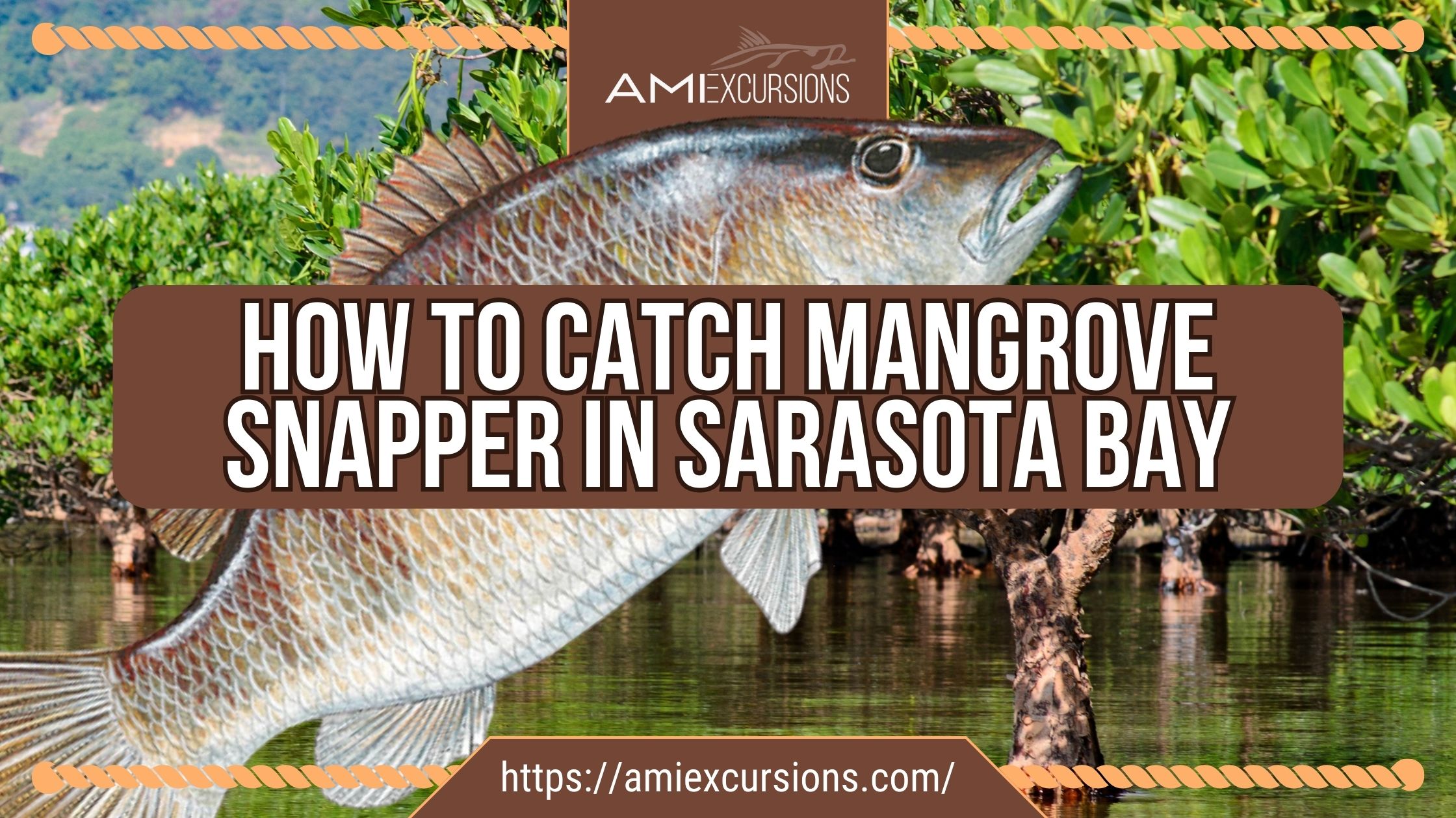 How To Catch Mangrove Snapper In Sarasota Bay