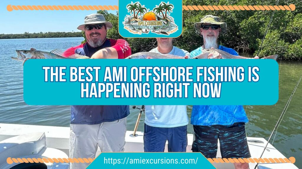 The Best AMI Offshore Fishing Is Happening Right Now is with AMI Excursions of Anna Maria Island, Florida