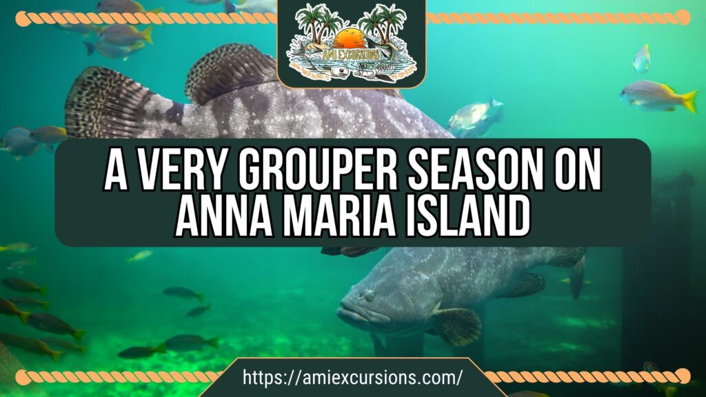 A Very Grouper Season on Anna Maria Island with AMI Excursions and Captain Nate
